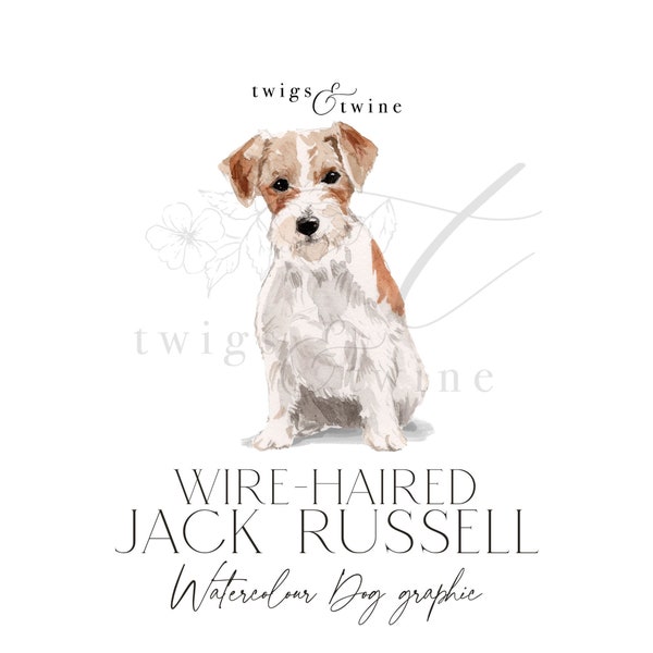 Wire-Haired Jack Russell watercolor dog illustration graphic - Commercial use - with and without drop shadow - transparent background png