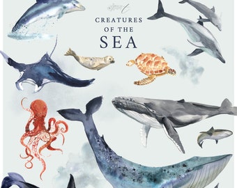 Creatures of the Sea - Watercolour sea animals - Whales, dolphins, sharks and more - Hand-painted and digitised - Commercial use