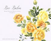 Hand Painted Watercolour, Yellow Floral Clipart - Lemon Bee Balm. Floral graphics for stationery, branding and social media.