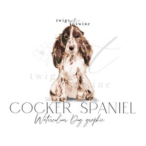 Braune und weiße Cocker Spaniel Aquarell Hund Illustration - Kommerzielle Nutzung - mit und ohne Schlagschatten - transparenter Hintergrund