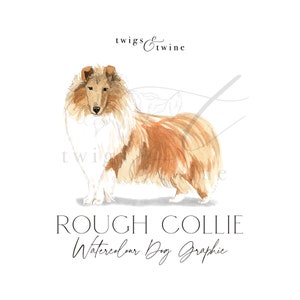 Könnte beinhalten: Aquarellmalerei eines Rauhaarborders. Der Hund steht mit dem Kopf zur Seite gedreht. Das Bild ist in Braun- und Weißtönen gehalten.