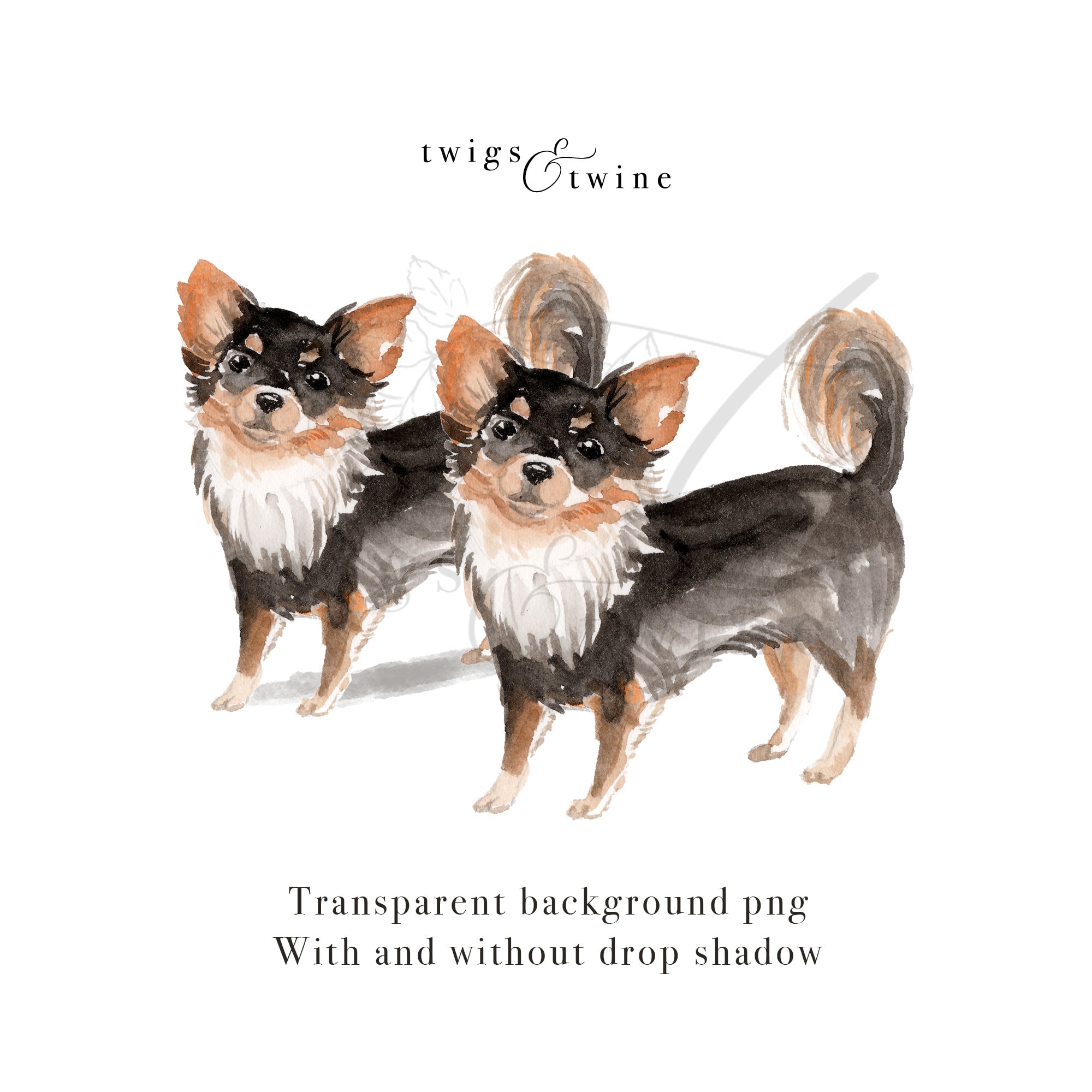 Long-haired Chihuahua Watercolor Dog Illustration Graphic - Etsy