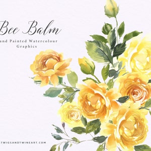 Acquerello dipinto a mano, Clipart floreale giallo - Melissa al limone. Grafica floreale per cancelleria, branding e social media.