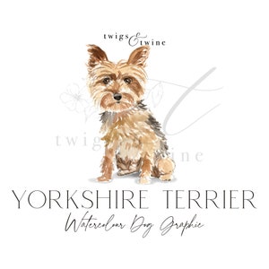 Yorkshire Terrier akwarelowy pies ilustracja graficzna - Użytek komercyjny - z cieniem i bez - przezroczyste tło png