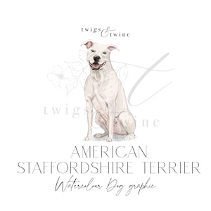 Ilustração gráfica de cachorro em aquarela White American Staffordshire Terrier - Uso comercial - com e sem sombra projetada
