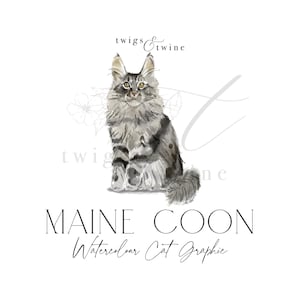 Maine Coon Aquarell Katze Illustration - Kommerzielle Nutzung - mit und ohne Schlagschatten - transparenter Hintergrund png