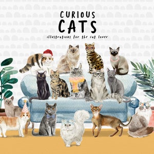 Curious Cats - handgemalte Aquarell Illustrationen für Katzenliebhaber - kommerzielle Nutzung - sofort download
