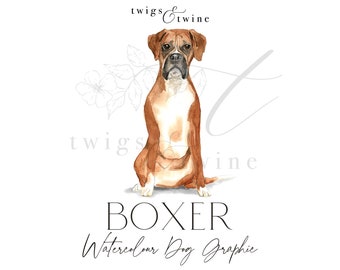 Boxer watercolor dog illustration graphic - Commercial use - with and without drop shadow - transparent background png
