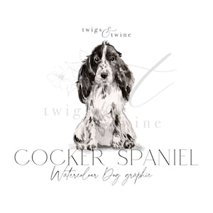 Illustrazione grafica di un cane Cocker Spaniel in bianco e nero, ad acquerello - Uso commerciale - con e senza ombra - sfondo trasparente