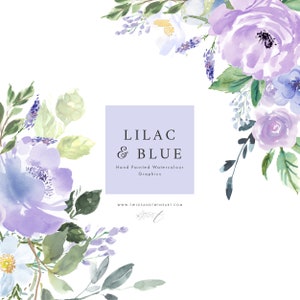 Imágenes prediseñadas de flores de acuarela lila y azul. Gráficos de flores pintados a mano