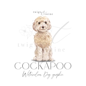 Illustrazione grafica acquerello del cane Champagne Cockapoo - Uso commerciale - con e senza ombra - sfondo trasparente png