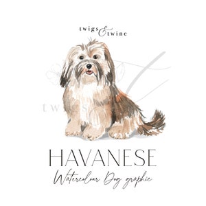 Havanese watercolor dog illustration graphic - Commercial use - with and without drop shadow - transparent background png
