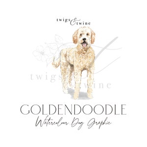 Goldendoodle-aquarel hond illustratieafbeelding - commercieel gebruik - met en zonder slagschaduw - transparante achtergrond, png