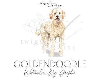 Goldendoodle watercolor dog illustration graphic - Commercial use - with and without drop shadow - transparent background png