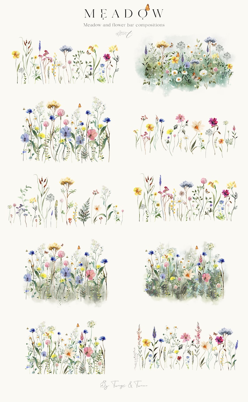 Prairie illustrations de fleurs sauvages à l'aquarelle arrangements prêts à l'emploi usage commercial téléchargement immédiat image 5