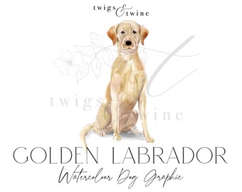 Könnte beinhalten: Aquarellgemälde eines sitzenden goldenen Labrador Retrievers. Der Hund schaut direkt auf den Betrachter. Der Hintergrund ist weiß mit einem hellgrauen Blumendesign. Der Text "twigs & twine" befindet sich oben im Bild. Der Text "GOLDEN LABRADOR Watercolor Dog Graphic" befindet sich unten im Bild.