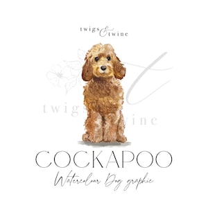 Golden Honey Cockapoo aquarel hond illustratie afbeelding - commercieel gebruik - met en zonder slagschaduw - transparante achtergrond, png