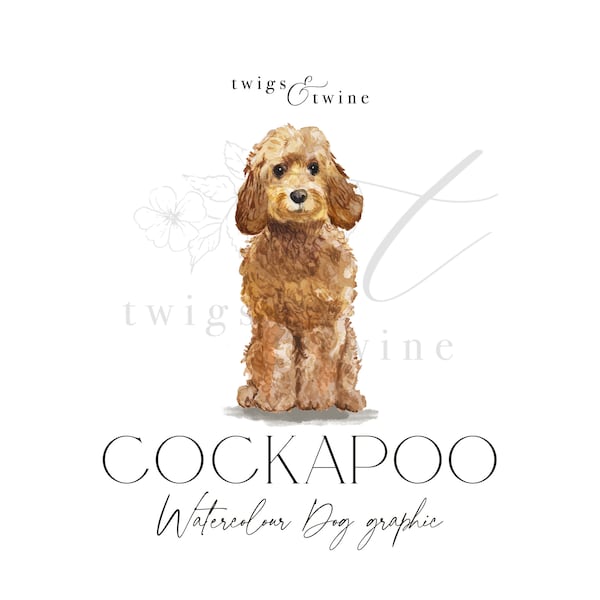 Golden Honey Cockapoo watercolor dog illustration graphic - Commercial use - with and without drop shadow - transparent background png