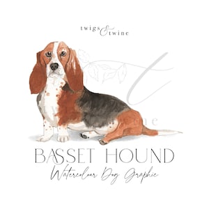 Illustrazione grafica di un cane Basset Hound ad acquerello - Uso commerciale - con e senza ombra - sfondo trasparente png