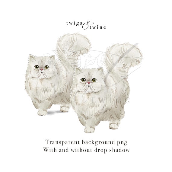 絵画 水彩 猫 透明水彩 猫の絵 ペット 肖像画 長毛猫 似顔絵 猫雑貨 アート