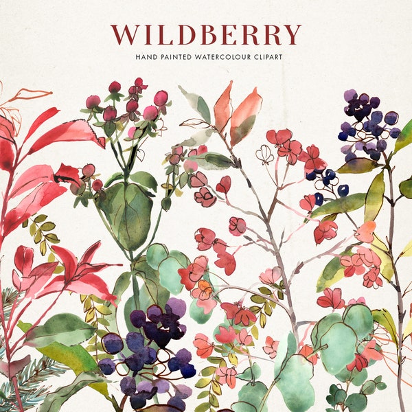 Hand Painted Watercolour, Wildberry. Watercolour wash and inky line. Floral graphics for stationery, branding and social media.