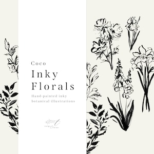 Coco - Inky Florals - Hand-painted Botanical Illustrations in Black and Gold