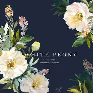 Witte pioenroos - hoge kwaliteit handgeschilderde aquarelbloemen - pioenrozen en groen - Instant digitale download