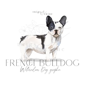 Ilustração gráfica de cachorro Bulldog Francês em aquarela - Uso comercial - com e sem sombra projetada - fundo transparente png