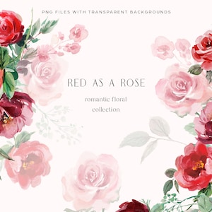 Red as a Rose Watercolor Clipart Set | 12 DIY Hand-Painted Roses, 5 Frames, and 5 Arrangements | Floral Clip Art, Digital Download