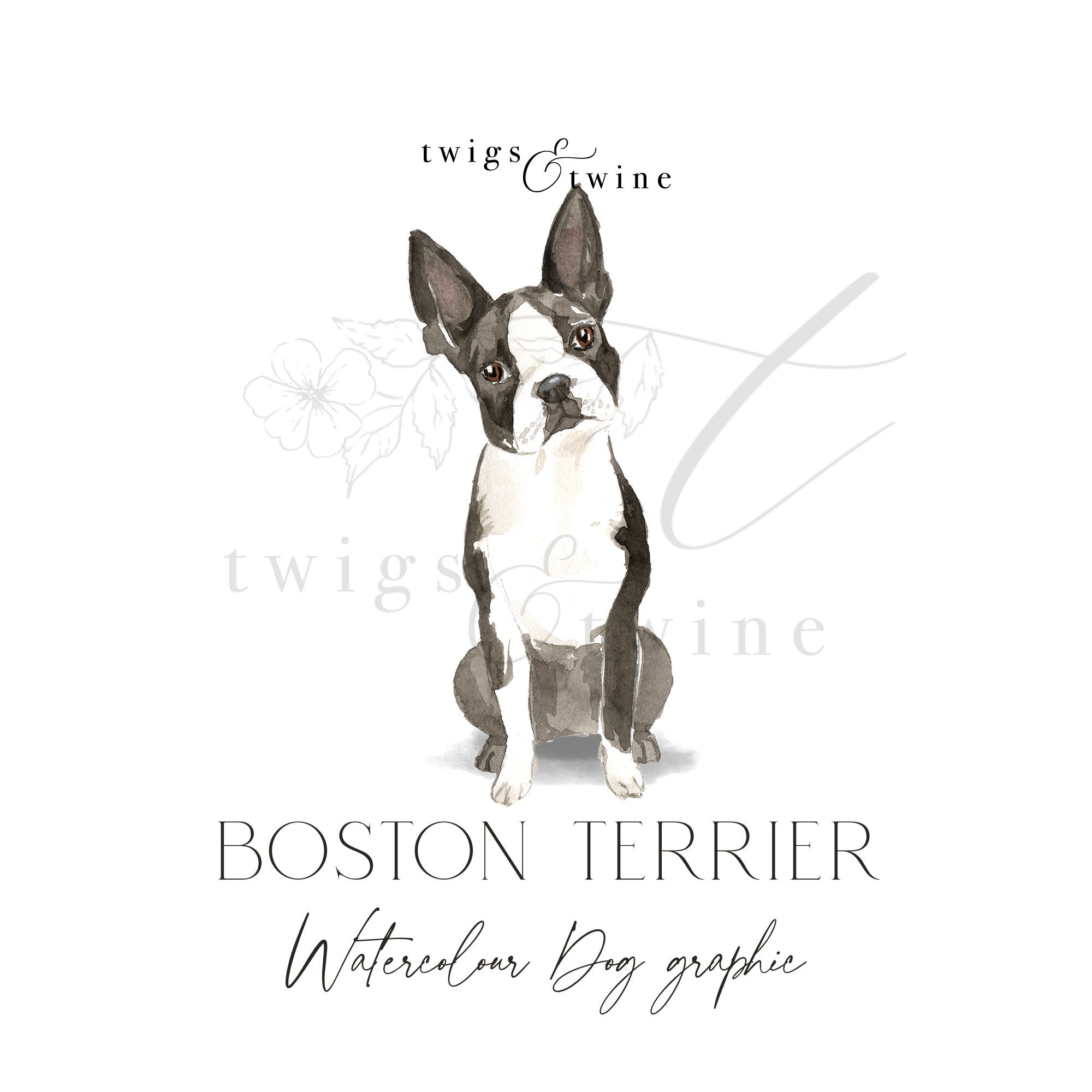 Boston terrier throwing deals up white foam
