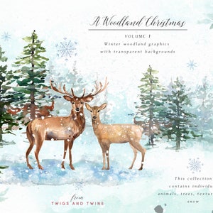 Woodland Christmas aquarel feestelijke clipart - bosdieren en landschap - vintage kerst - kerstboomafbeelding - digitale download
