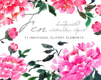 Pink Peonies - Flower Clipart - Fen