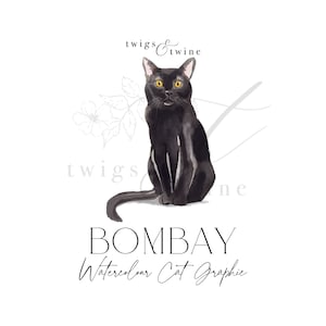 Illustration graphique de chat aquarelle de Bombay - usage commercial - avec et sans ombre portée - arrière-plan transparent png