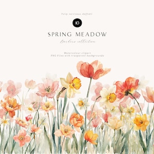 Borda de flores de prado de primavera Clipart - primavera Clipart - Bordas pré-fabricadas - Clipart pré-fabricado - Clipart de aquarela