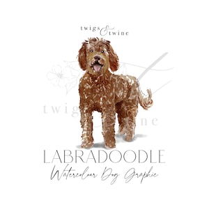 Illustration aquarelle de chien Labradoodle marron - usage commercial - avec et sans ombre portée - arrière-plan transparent png