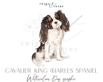 Tri-Color Cavalier King Charles Spaniel watercolor dog illustration graphic - Commercial use - with and without drop shadow