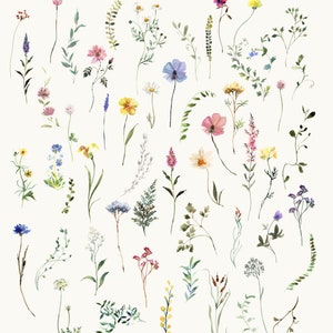 Prairie illustrations de fleurs sauvages à l'aquarelle arrangements prêts à l'emploi usage commercial téléchargement immédiat image 6