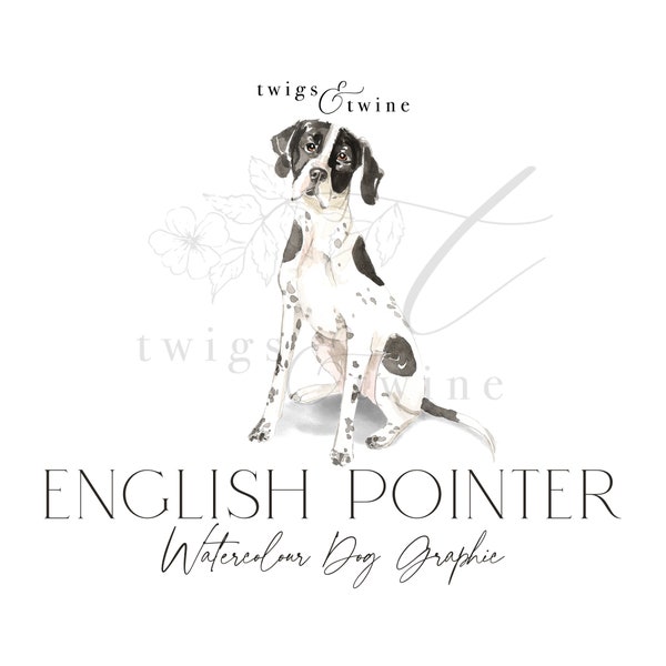 English Pointer watercolor dog illustration graphic - Commercial use - with and without drop shadow - transparent background png