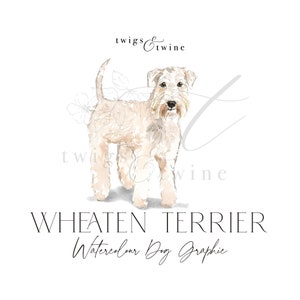 Wheaten Terrier watercolor dog illustration graphic - Commercial use - with and without drop shadow - transparent background png