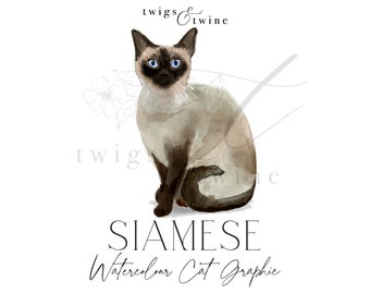 エキゾチックショートヘアの水彩猫のイラストグラフィック - 商用利用