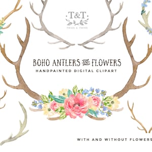 Antlers and Flowers - Hand Painted Watercolour Clipart Set