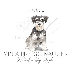 Ilustração gráfica de cachorro Schnauzer miniatura em aquarela - Uso comercial - com e sem sombra projetada - fundo transparente png