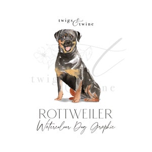 Rottweiler watercolor dog illustration graphic - Commercial use - with and without drop shadow - transparent background png