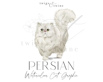 三毛エキゾチックショートヘア 水墨×水彩のプレミアム原画（2025・直筆サイン） エキゾチックショートヘアの水彩猫のイラストグラフィック - 商用利用