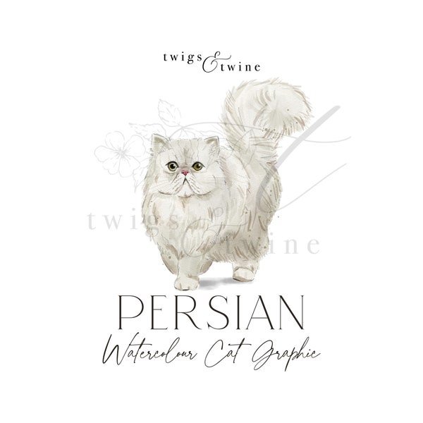 Persian watercolor cat illustration graphic - Commercial use - with and without drop shadow - transparent background png