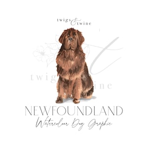 Newfoundland watercolor dog illustration graphic - Commercial use - with and without drop shadow - transparent background png