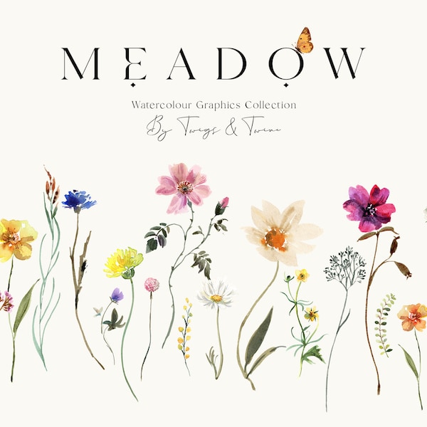 Meadow - watercolour wild flower illustrations - ready-made arrangements - commercial use - instant download