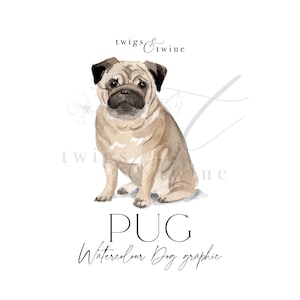 Mops Aquarell Hund Illustration Grafik - Kommerzielle Nutzung - mit und ohne Schlagschatten - transparenter Hintergrund