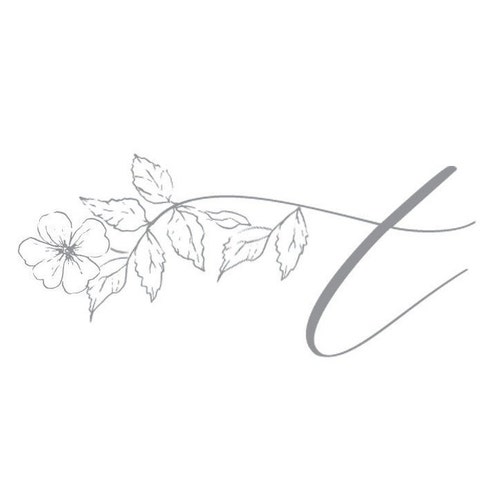 エキゾチックショートヘアの水彩猫のイラストグラフィック - 商用利用