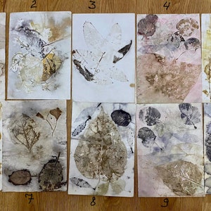 Papier imprimé écologique / Impression botanique / Papier de scrapbooking.